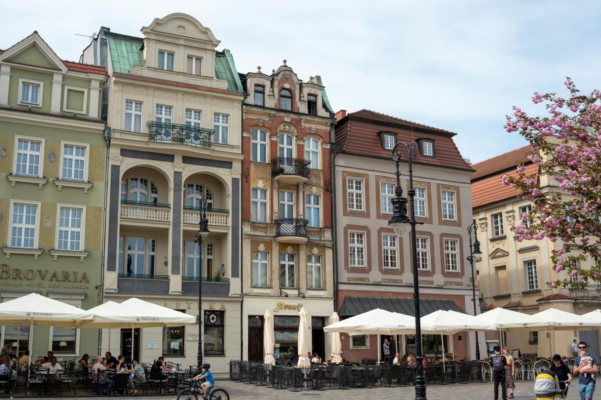 Apartamenty Drevny Kocur Poznan Dış mekan fotoğraf