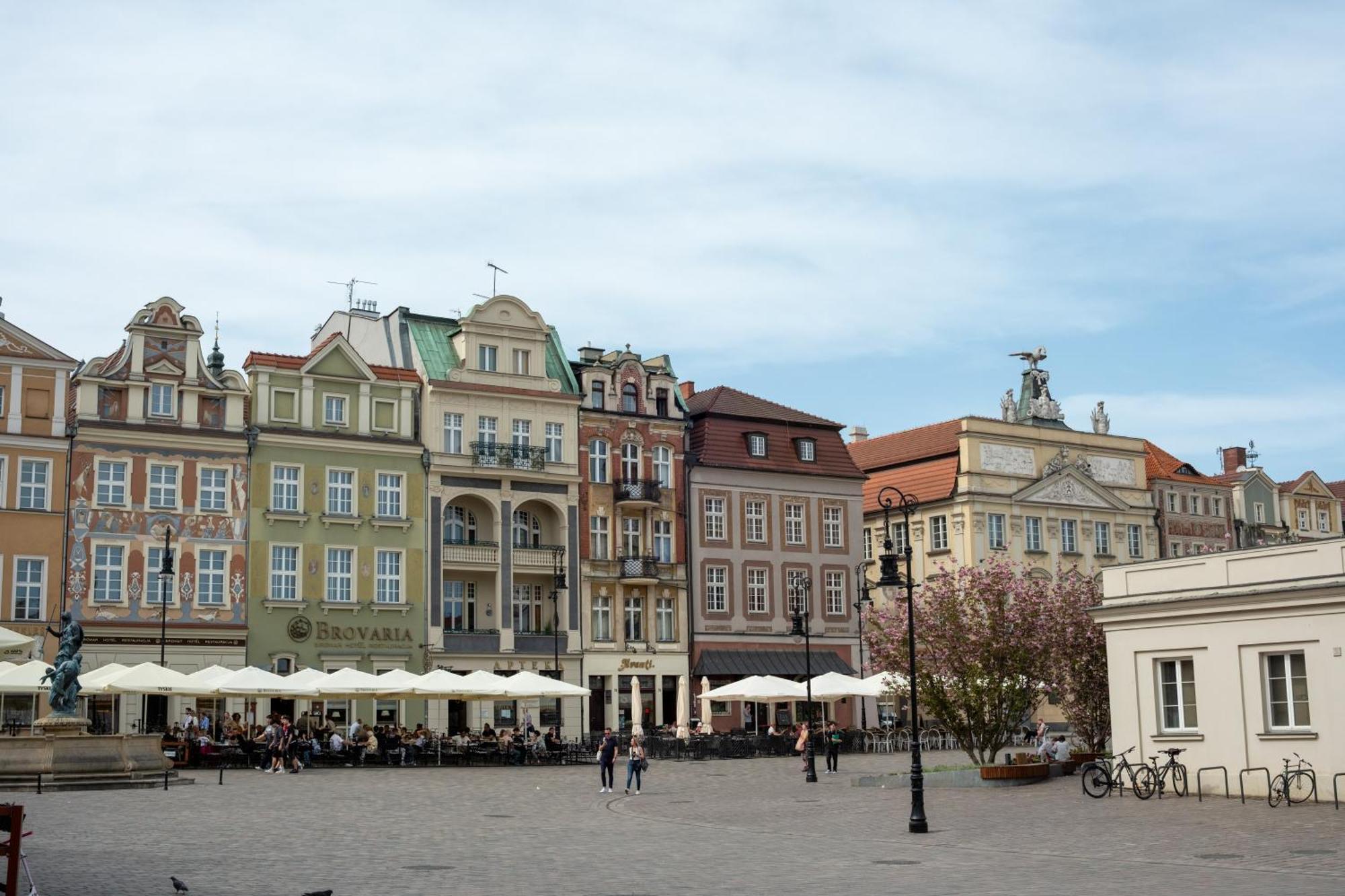 Apartamenty Drevny Kocur Poznan Dış mekan fotoğraf